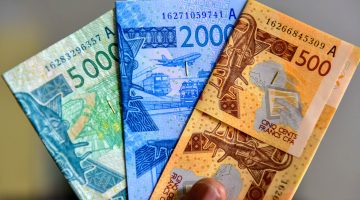 The Diverse Currencies of Africa: Impact on Economic Growth